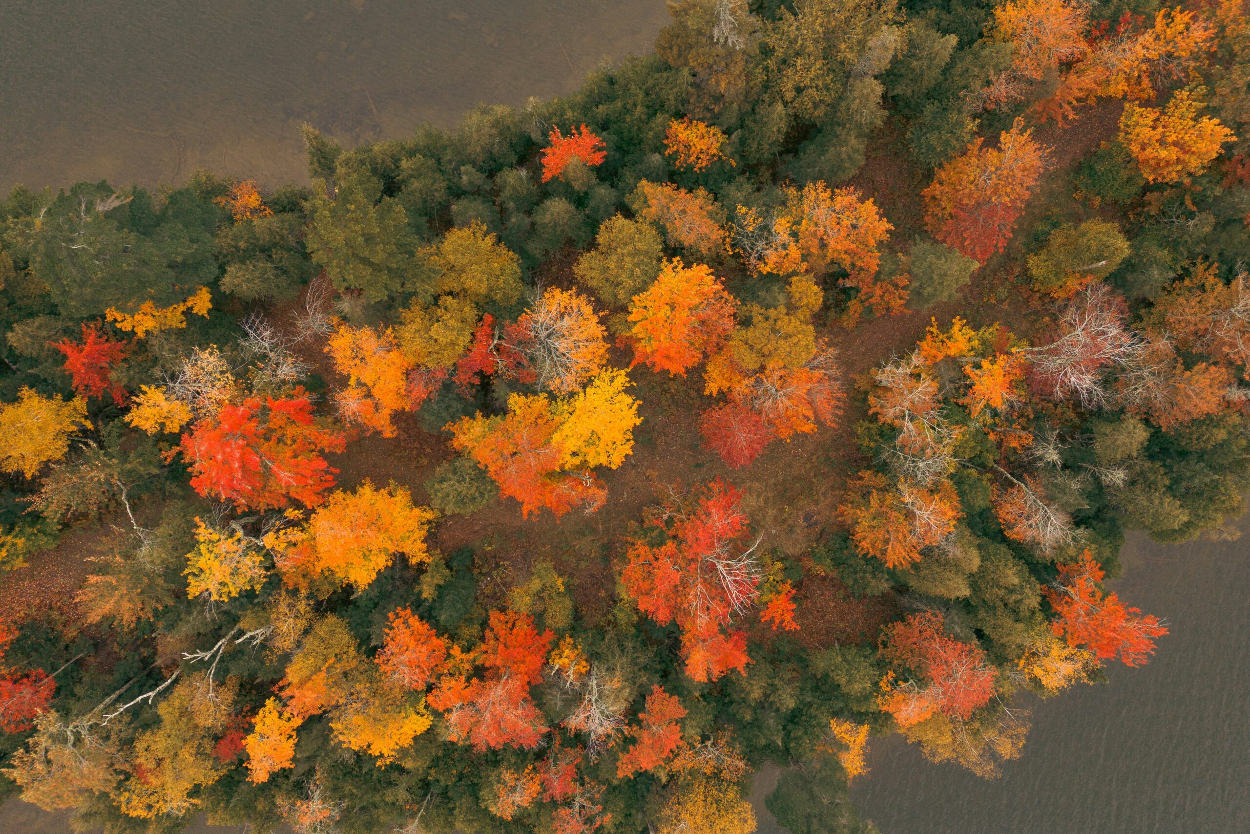 Ways to Make Your House Cozy for Fall Showings